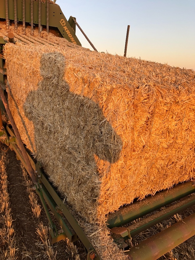 Barley Straw 550600kg 8x4x3 Bales Farm Tender